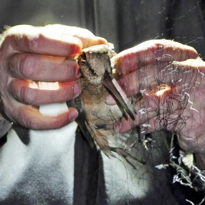 NJ charges itself with damaging land it was bound to protect